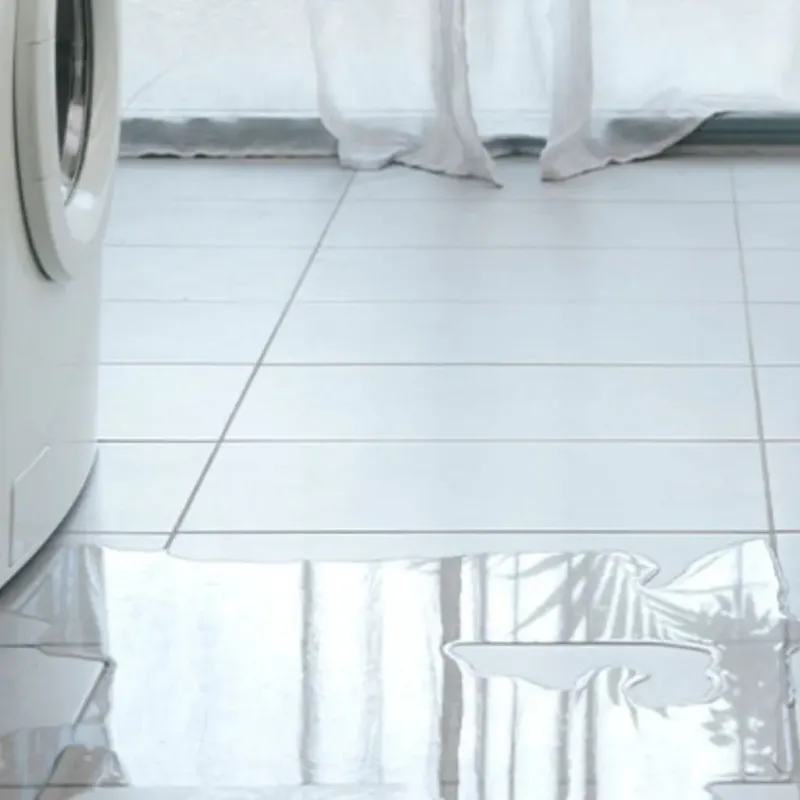 Appliance Leak Cleanup in Marcellus, MI