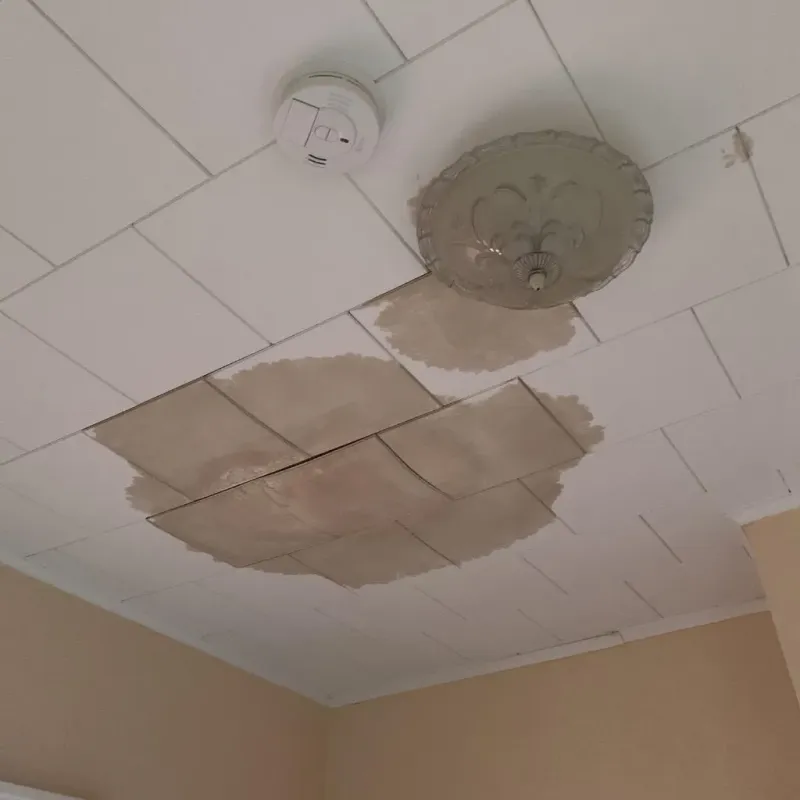 Ceiling Water Damage Repair in Marcellus, MI