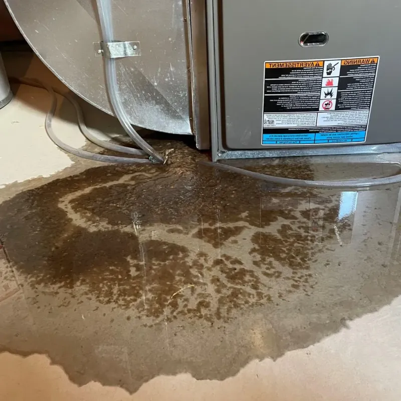 Pipe Burst and Leak Restoration in Marcellus, MI